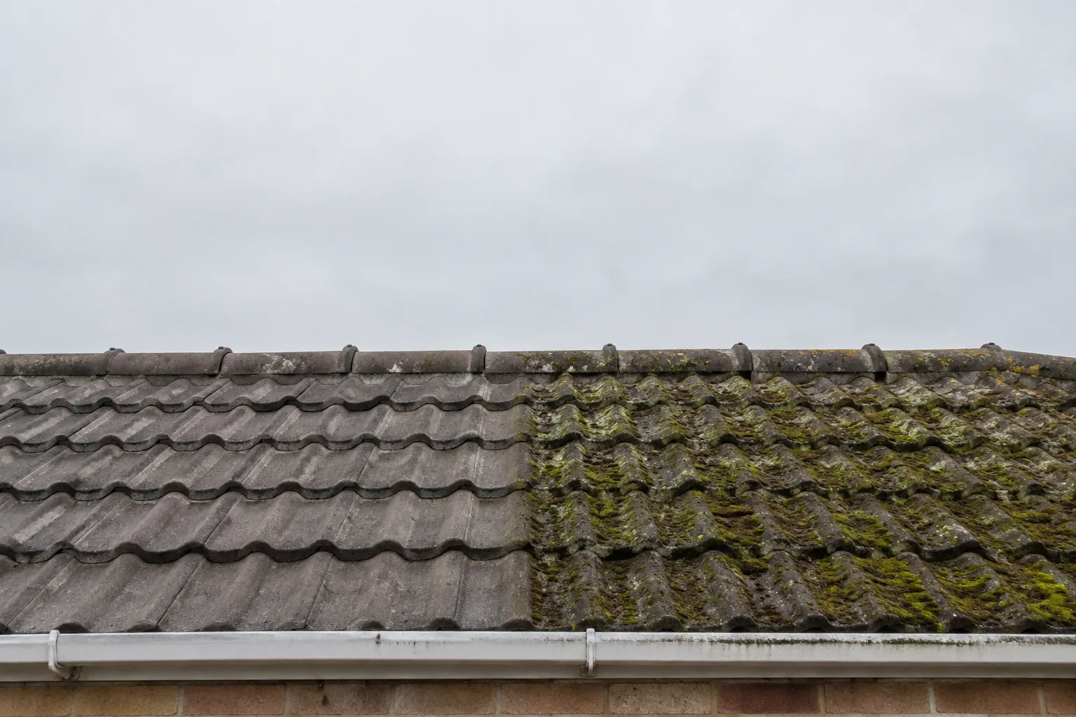 Cleaned concrete roof tiles beside a moss-covered section of the same roof.